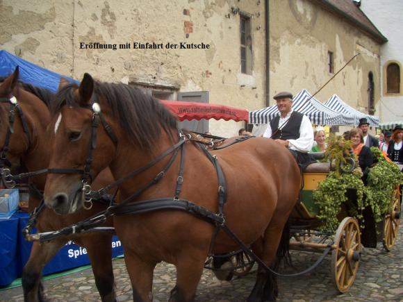 Einfahrt-Kutsche.jpg