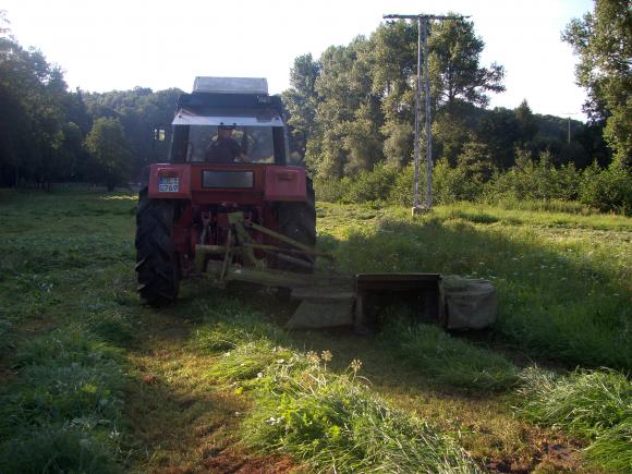 Gras-hauen-hinten.jpg